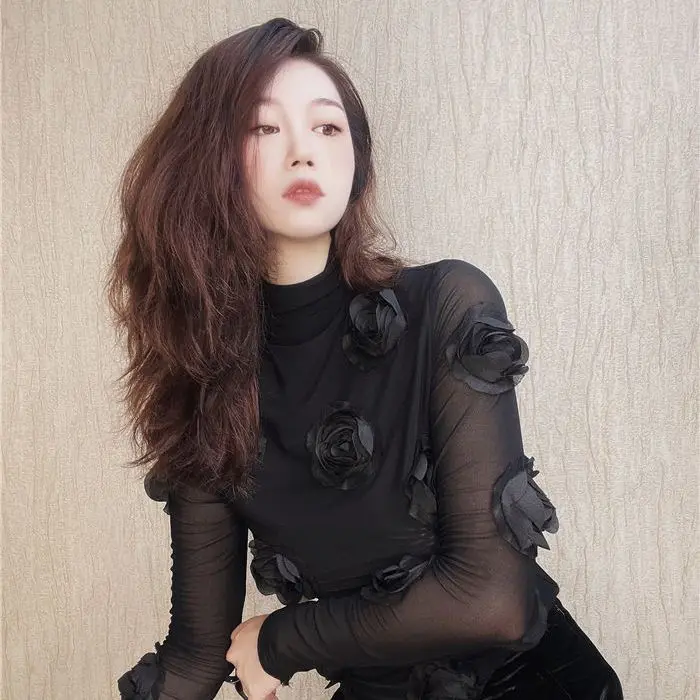 

Three-Dimensional Design Flower Semi-High Collar Long Sleeve Stretch Mesh T-Shirt Slim Inner Outer Wear Bottoming Shirt Autumn