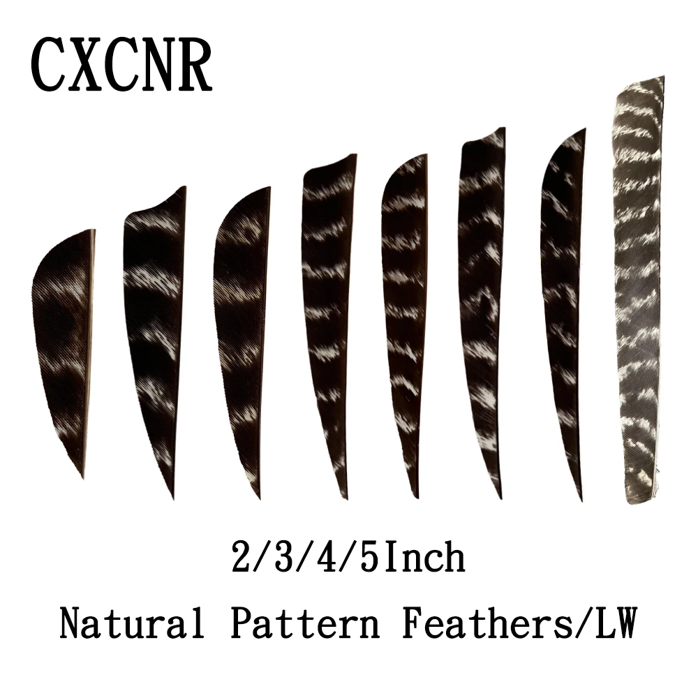 50Pcs LW Natural Turkey Feathers Shield Shape 2/3/4/5 Inch, Accessories for American Hunting, Recurve and Traditional Bows