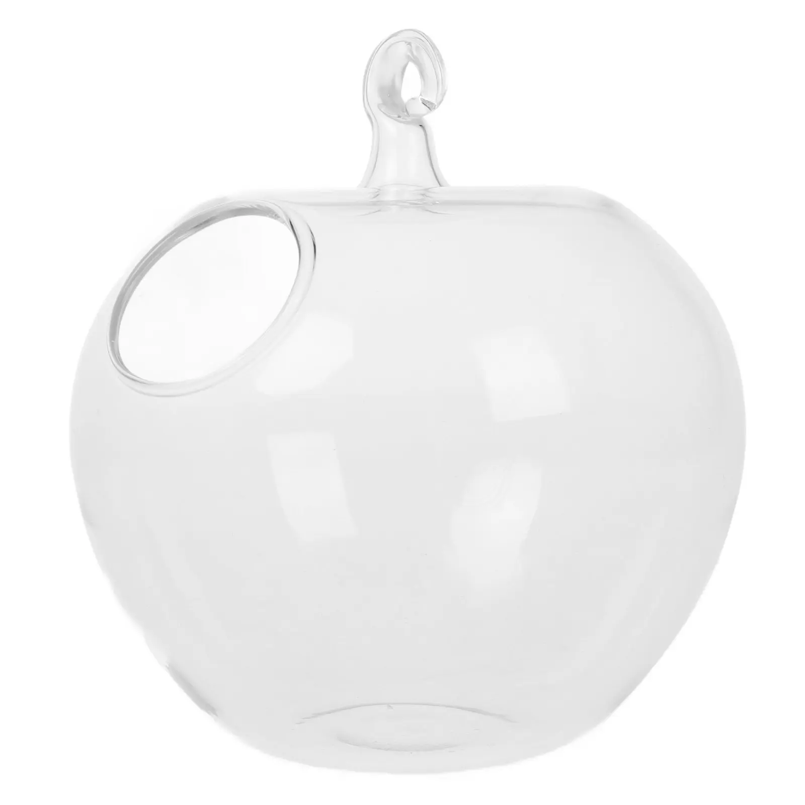 Shape Desktop Hanging Glass Fish Tank Clear Glass Vase Small Tabletop Aquarium Betta Fish Bowl Home Office Decor Succulent