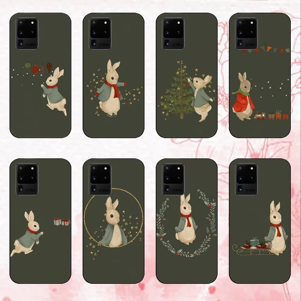 P-Peter R-Rabbit Phone Case For Samsung Galaxy S24 30 21 23 FE Note 20 10 Lite Plus Ultra Shell