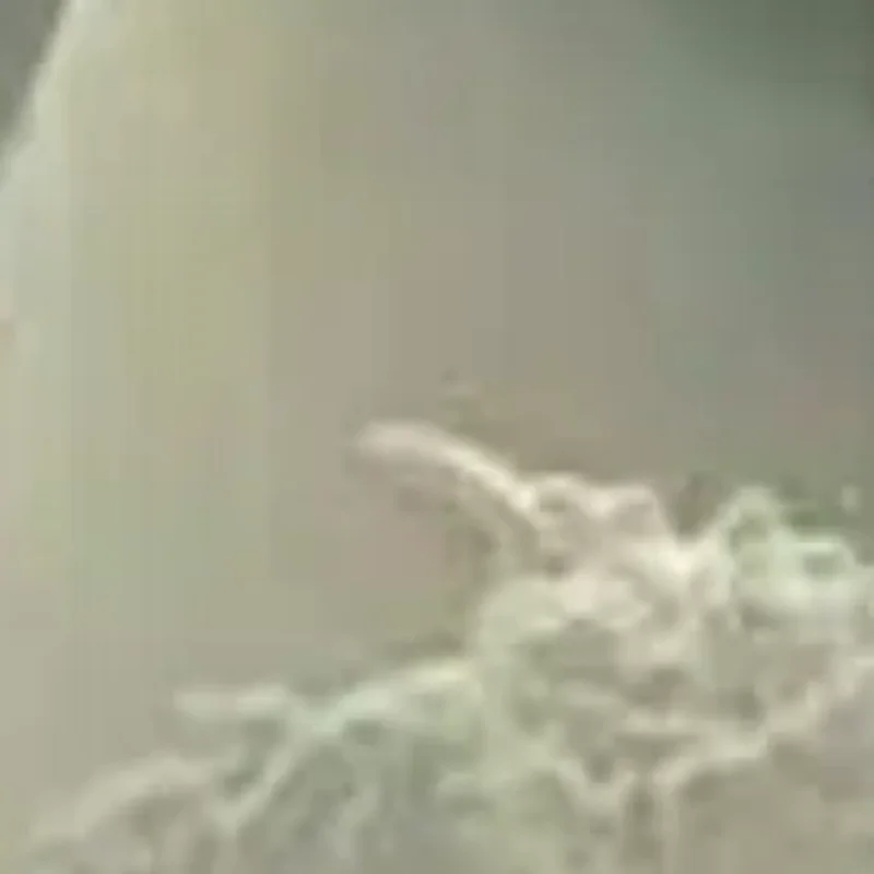 แม่พิมพ์ซิลิโคน 3 มิติ สำหรับทำเล็บลายดอกไม้ โบว์ ผีเสื้อ แบบใส สำหรับตกแต่งเล็บ DIY แผ่นปั๊มลายเล็บ อุปกรณ์ทำเล็บ