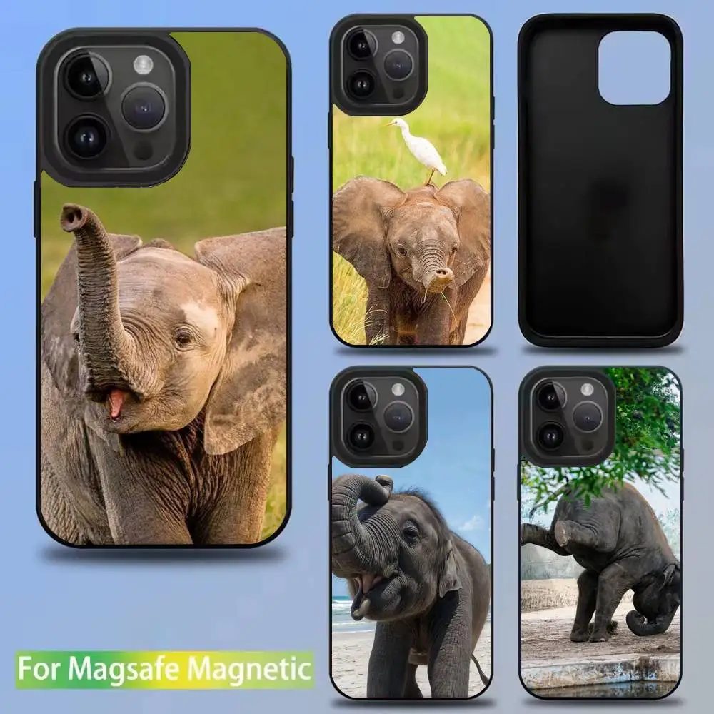 

QT3 Animal Elephant Cute For iPhone 17,16,15,14,13,12,11,Pro,Max,Plus,Mini,SE4,E Magnetic For Magsafe Wireless Phone Case