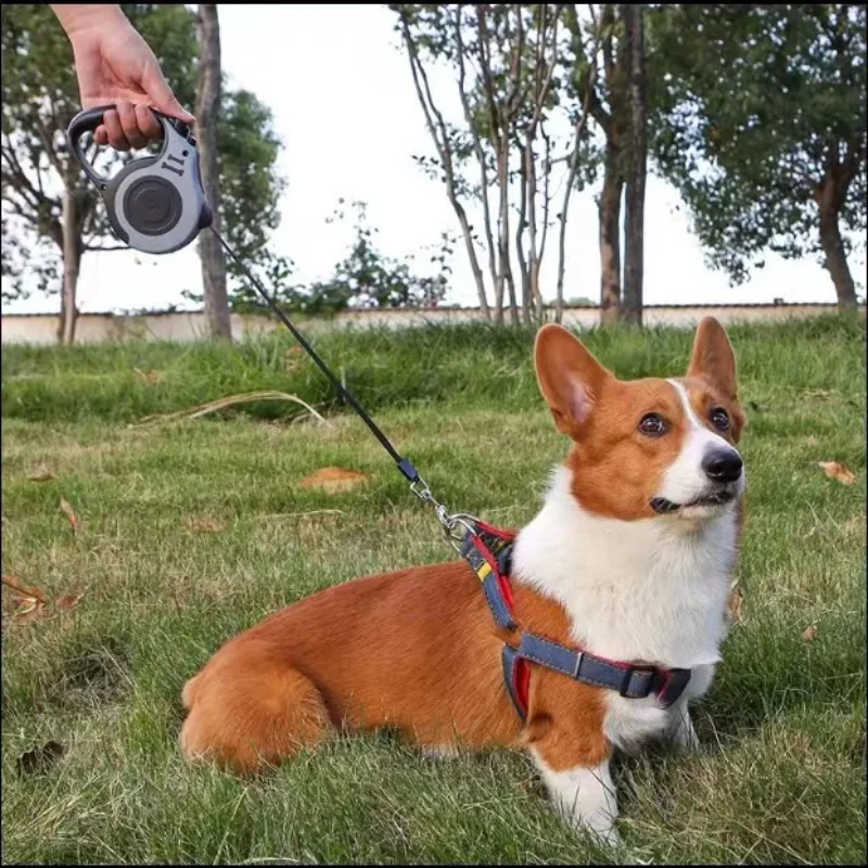 Guinzaglio per cani durevole da 5m per cani di taglia piccola e media corda di Nylon retrattile automatica estensione del piombo per gatti Puppy