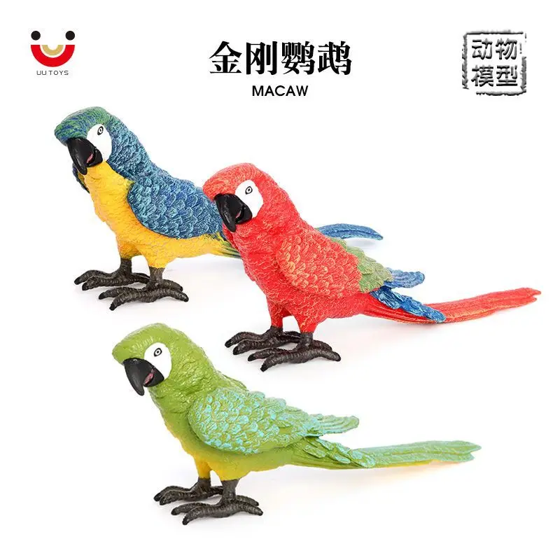 Simulated wildlife models, macaws, birds, static solid children's cognitive plastic toys