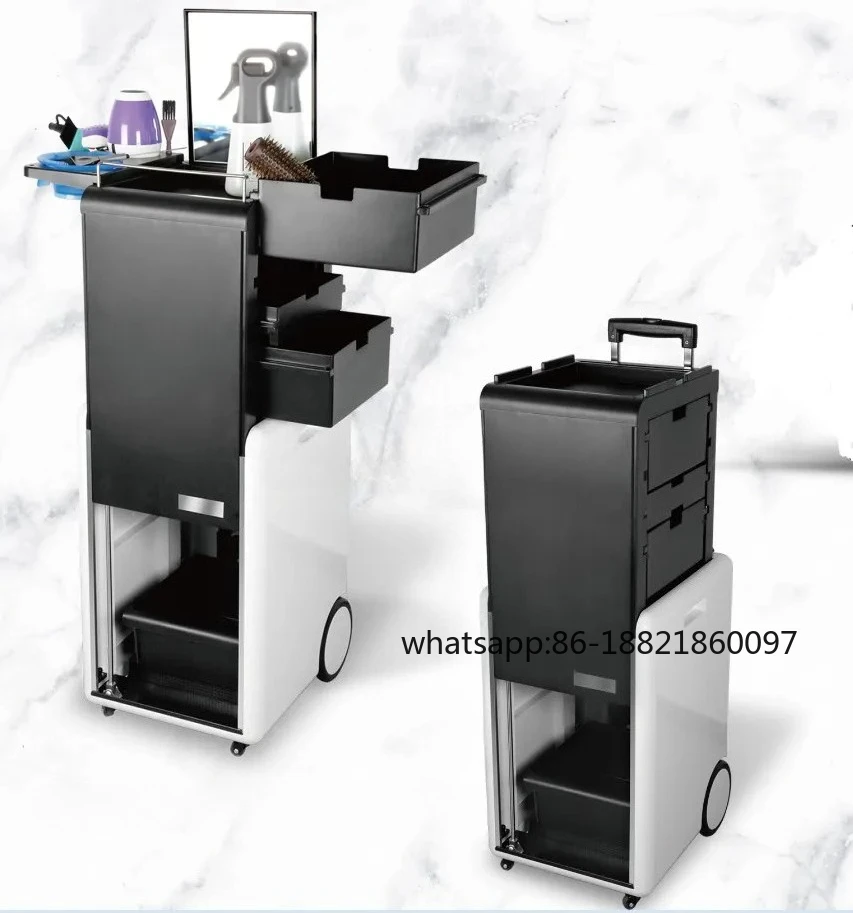 Artists Multifunction Cosmetics Trolley Train Case, Knight, Large