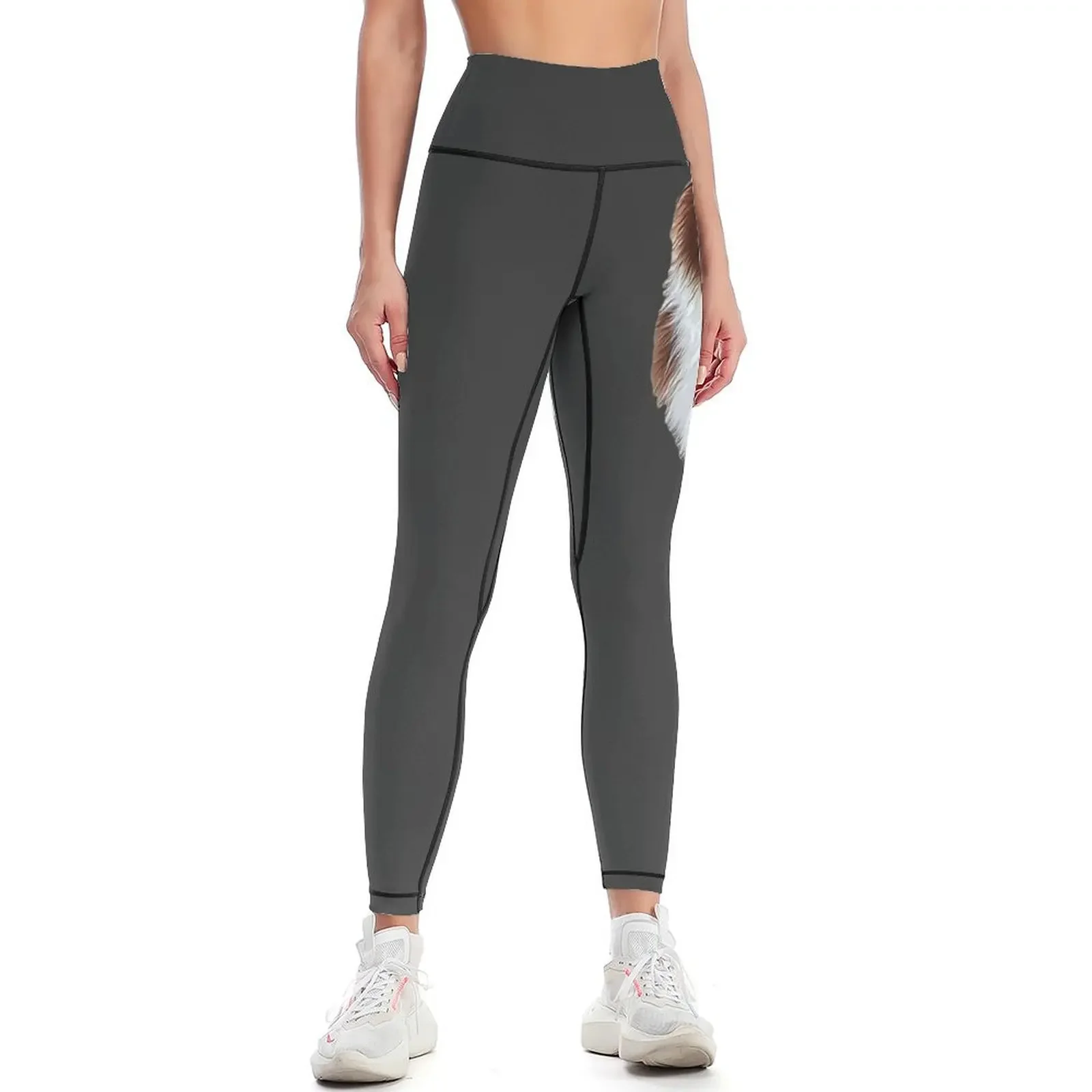 

Border Collie- Chocolate Brown Beauty Leggings Women's pants sport pants Sportswear woman gym Pants sport Womens Leggings