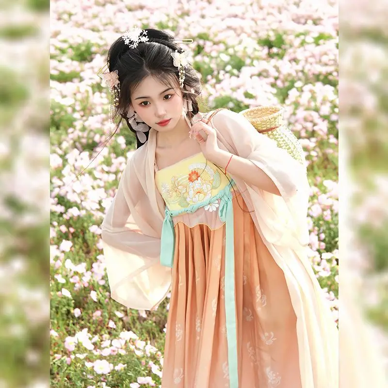 Kostum Hanfu tradisional Cina gaun kuno wanita gaun putri bordir Oriental gaun pakaian dansa Dinasti Tang elegan