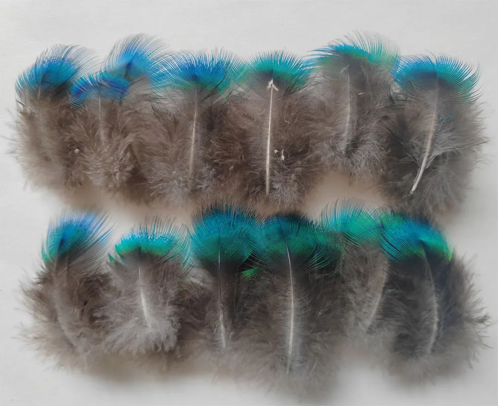 50 sztuk/partia krótkie niebieskie PEACOCK BODY PLUMAGE FEATHERS, mały paw pióropusz do rękodzieła, akcesoria do majsterkowania, błyszczący niebieski
