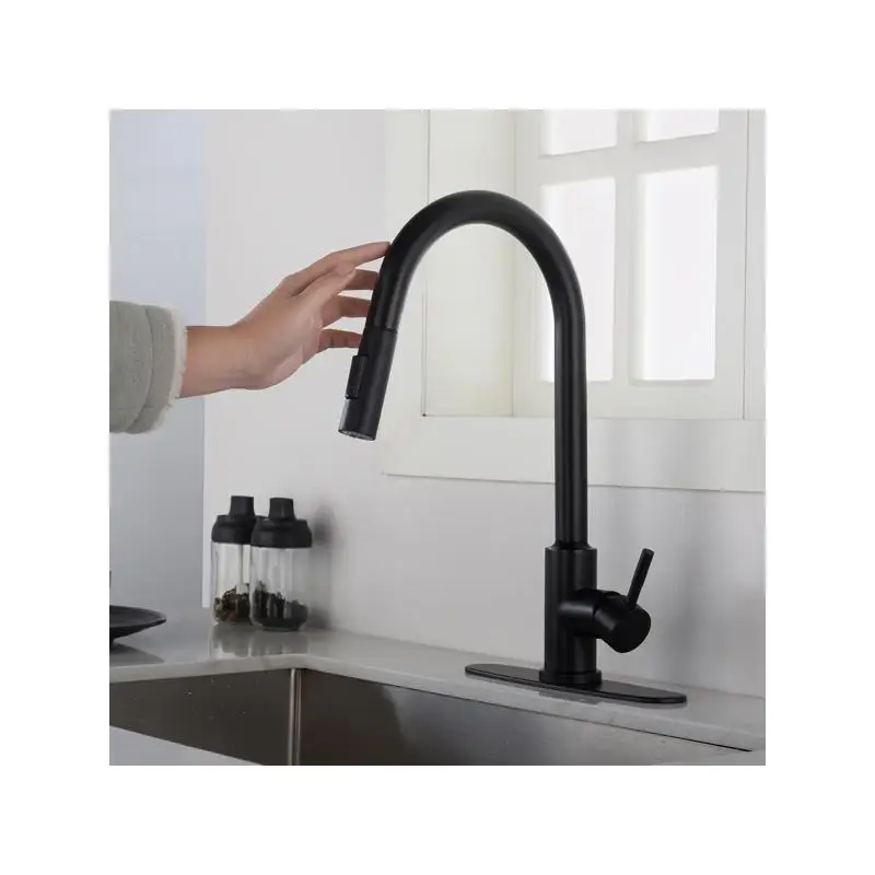 

Pull Down Sprayer Kitchen Faucet - Matte Black Finish