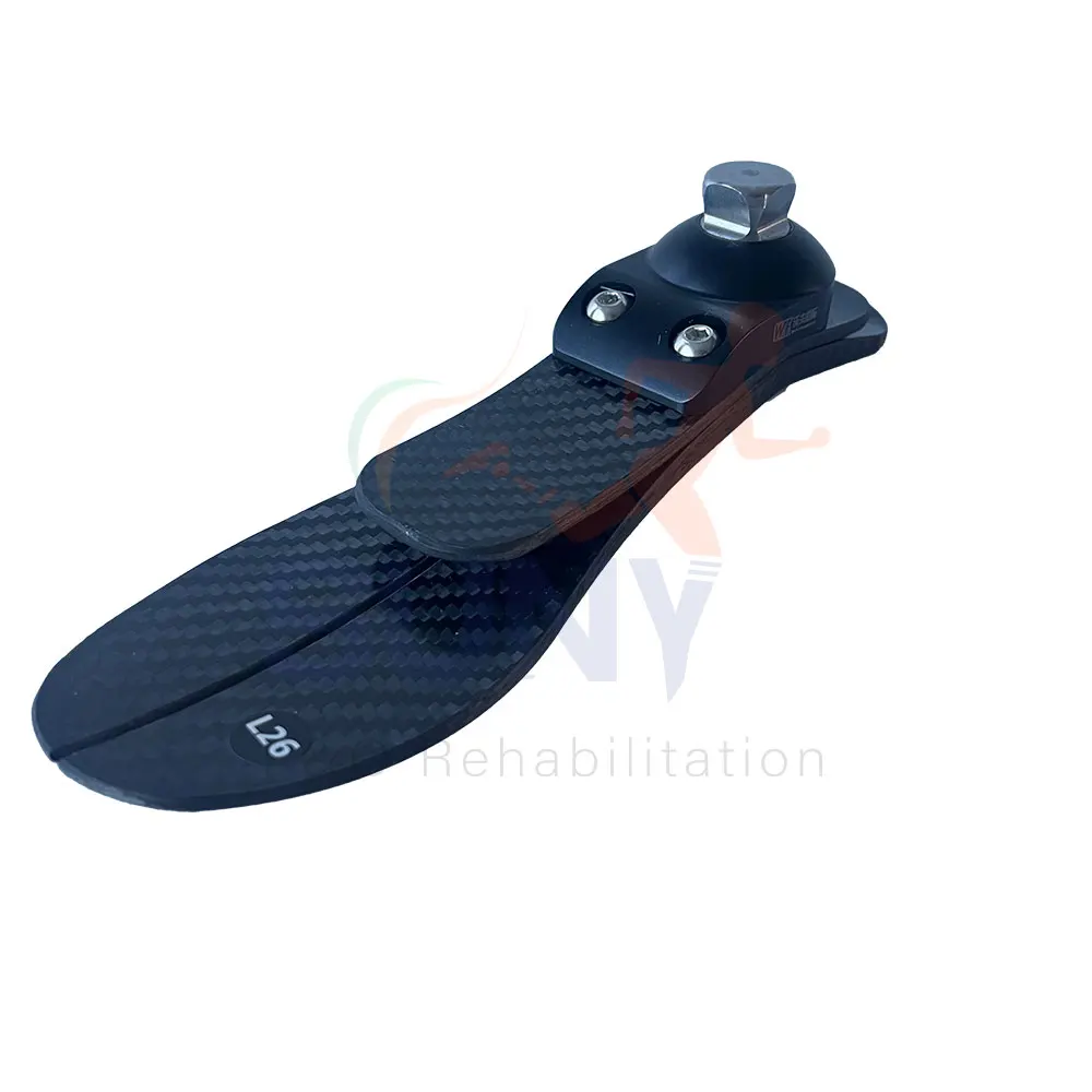 Artificial Limbs Legs BK Prosthetics for Above Knee Amputee Prosthetic Leg  Foot Low Ankle Carbon Fibre Artificial foot