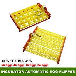 Incubator Automatic Egg Flipper Motor Voltage 220V AC 56 egg troughs 48 egg troughs 36 egg troughs 24 egg troughs