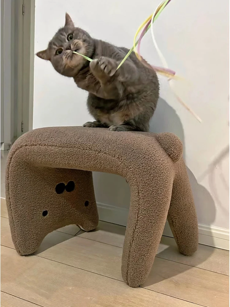 

Cats changing shoes, stools, animal websites