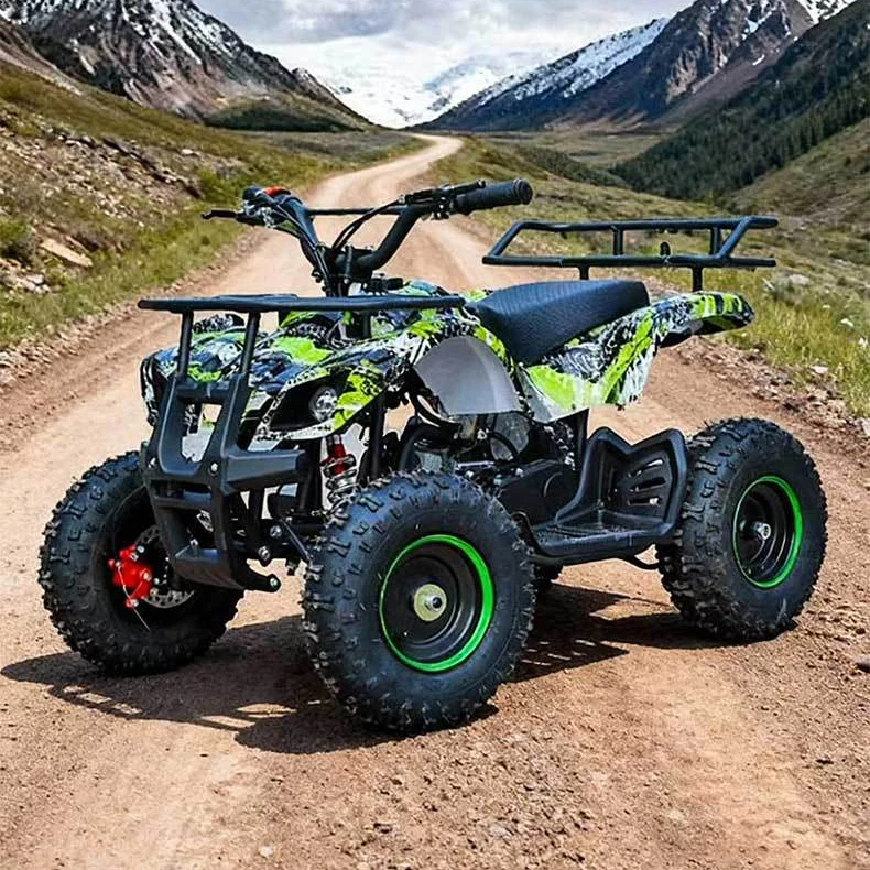 Children's Teen Off-road Buggy Karting Vehicle 2-stroke  49cc Engine Hydraulic Disc Brake All-terrain Outdoor Kart