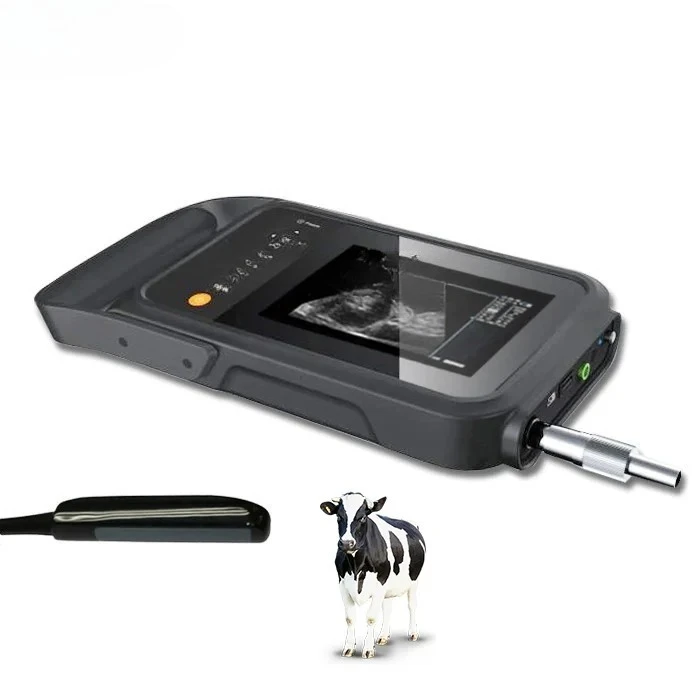 

Portable Handheld Design Veterinary specialized Ultrasound Low Price USG