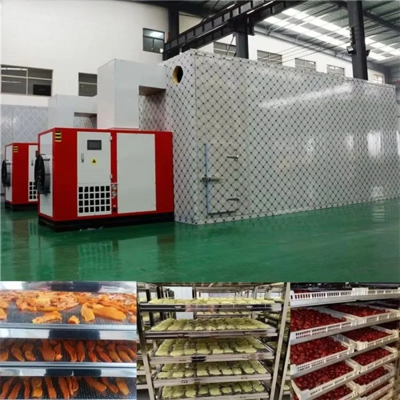 Heat Pump Drying Room Intelligent Control Food Dehydrator Energy Saving Drying Chamber for Vegetables Fruits Flowers