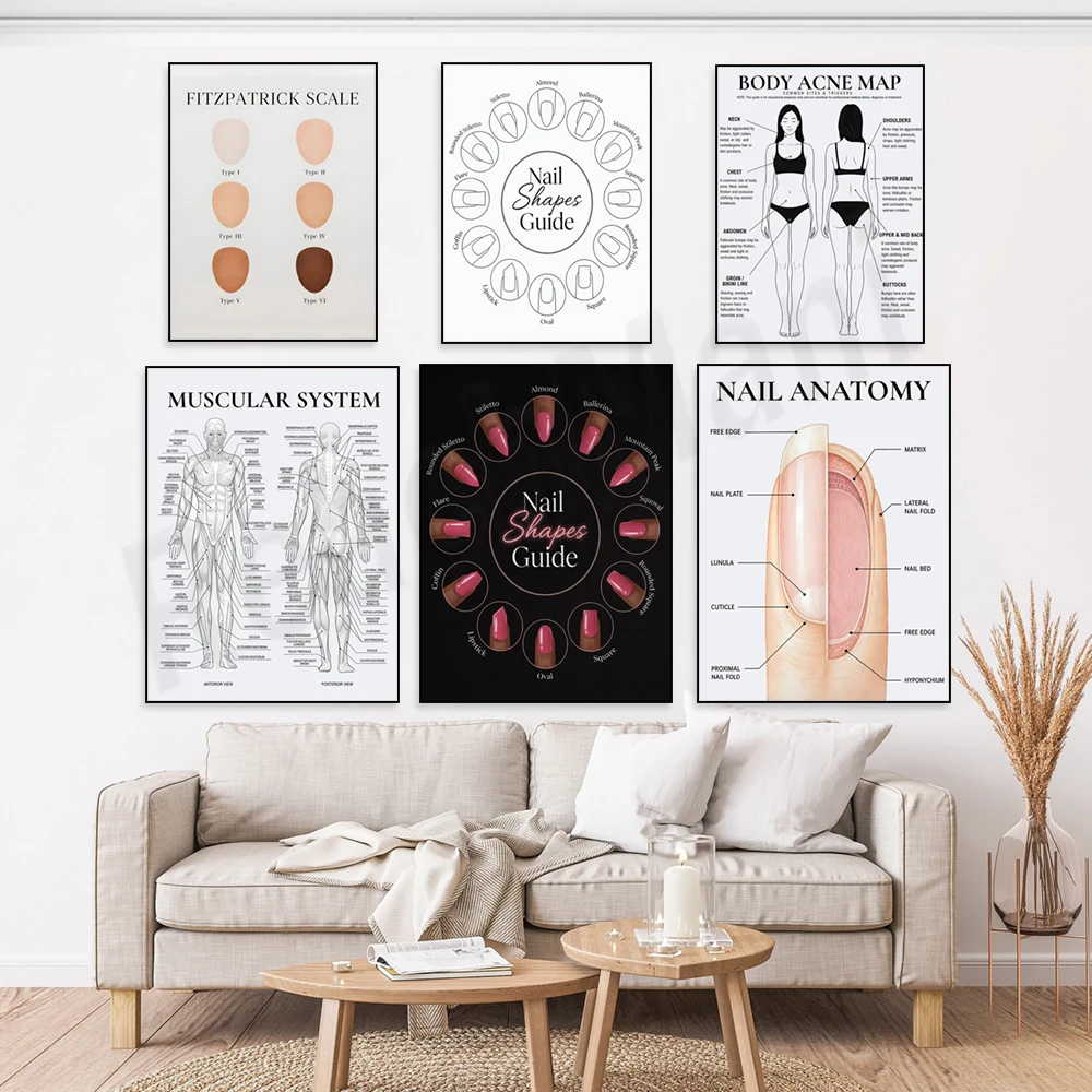 Nail structure, body acne distribution diagram, body muscle diagram, nail shape guide, beautician, nail salon decoration poster