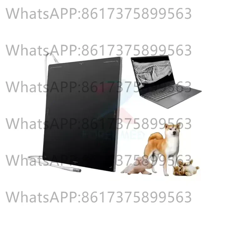 Veterinary Dr Flat …