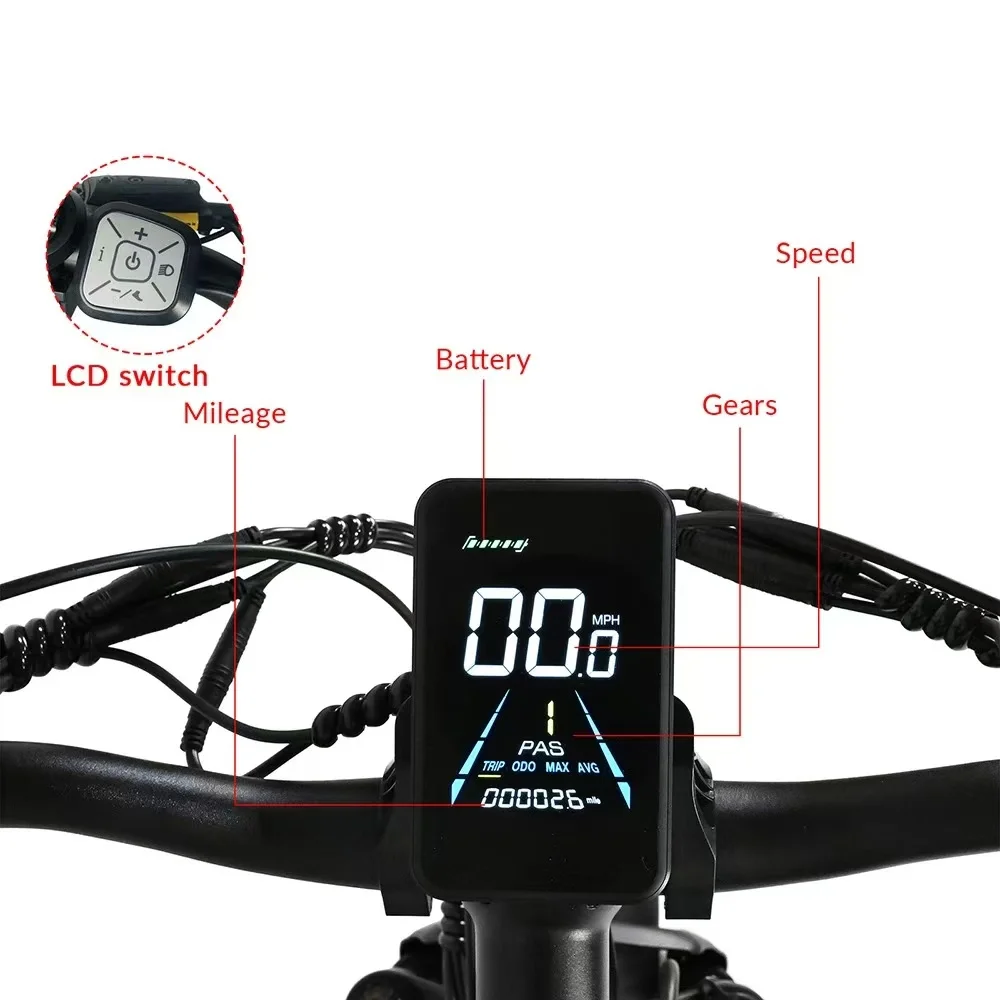Electric Bike 2000W Dual Motor 48V20AH Lithium Battery 21 Speed E-bike Hydraulic Brake 26*4 Inch Fat Tire Snow Electric Bicycle