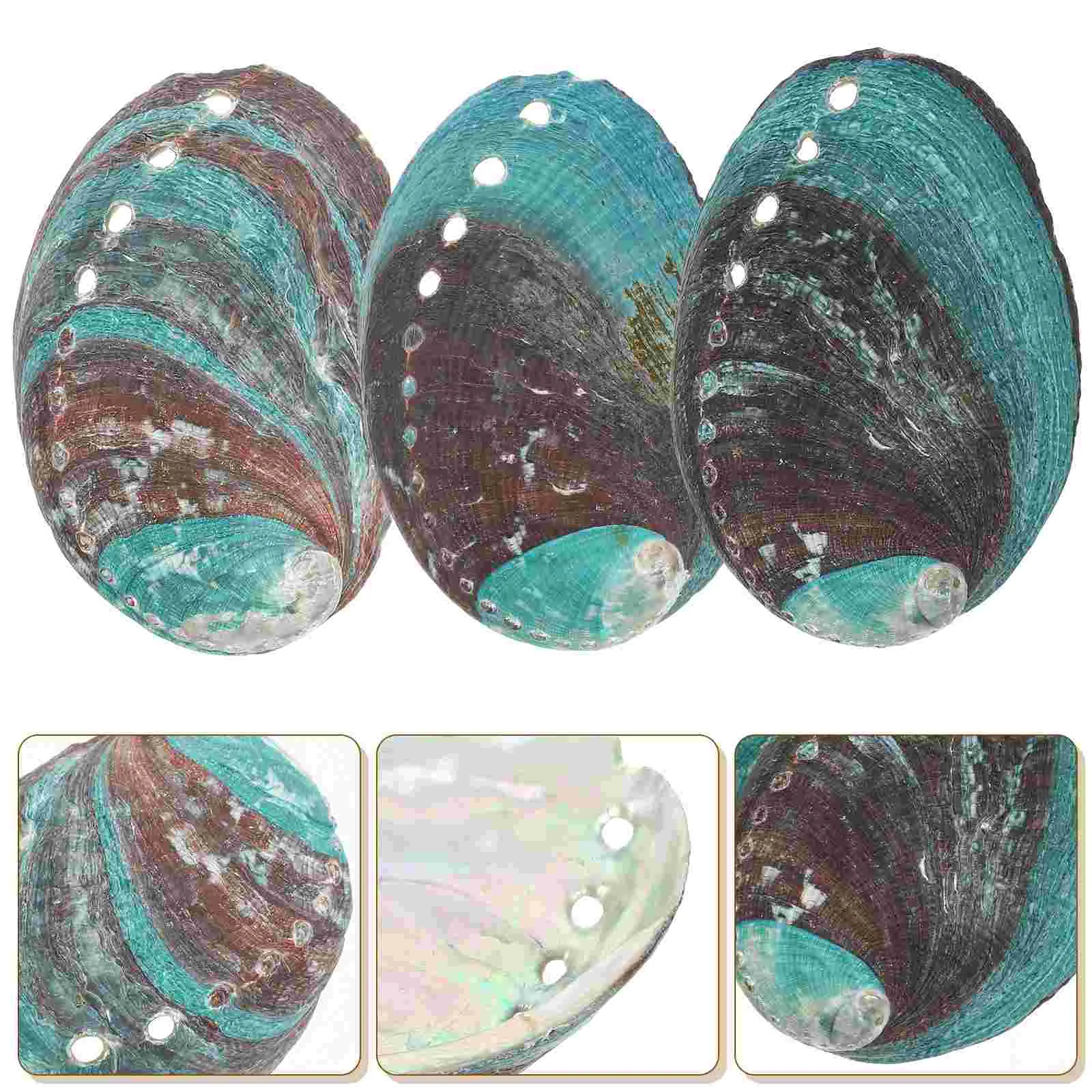 3 Pcs Natural Shell Abalone Decorative Ornaments Bowl Holder Smudge Offering Kit Braid