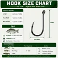 Size 16