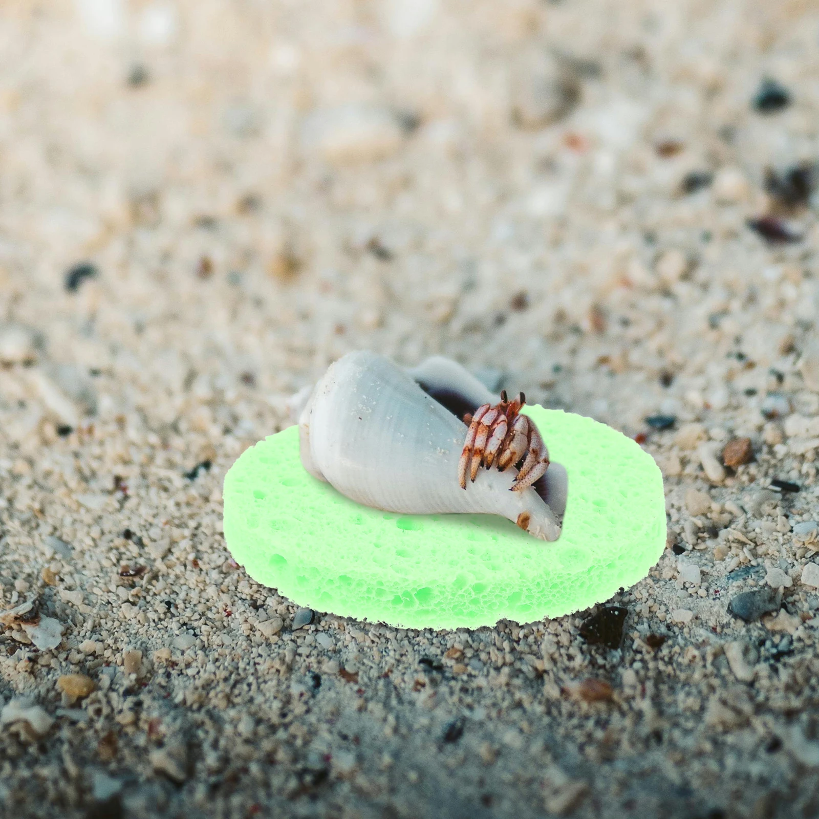

10pcs Crab Humidity Sponges 60mm Diameter 8mm Thick Round Shape Hermit Tank Supplies Moisture Keeping Pet Safety Multi Purpose