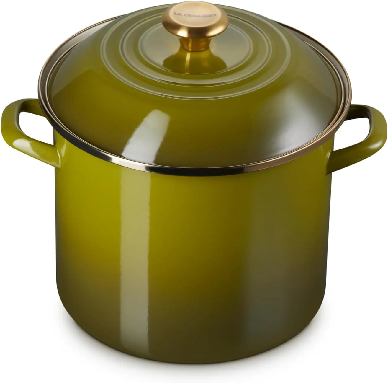

10-Quart Enameled Steel Stockpot, Olive Green, Quick Boil & Heat Retention