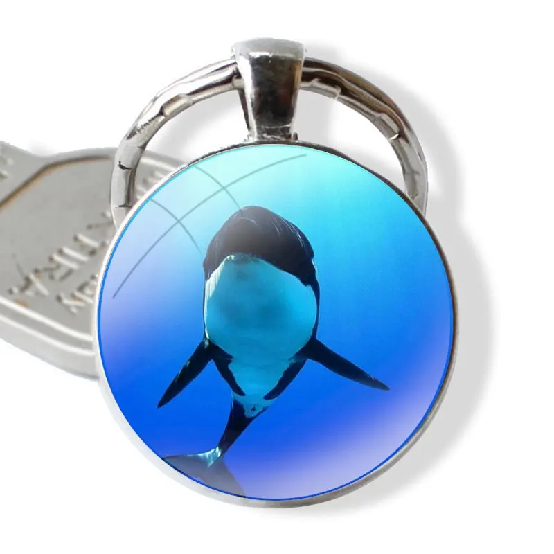 Glass Metal Pendant Key Chain Classic Men Women Key Ring Accessories Jewelry Gifts Killer Whale Orca