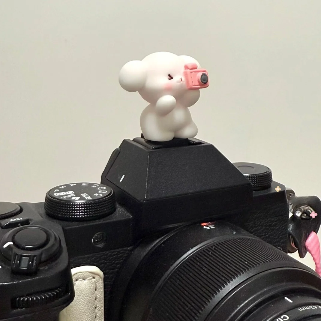 DIY Cute Dog Universal Hot Shoe Cover for Leica Q2 Q3 Fuji X100V X-T5 Sony ZV-1 ZV-E10 Canon EOS R5 Nikon Z5 Camera Accessories view 2