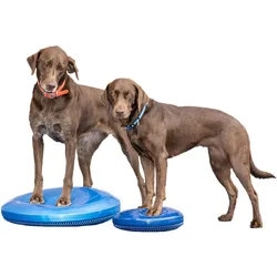 Pet Balance Disc Dogs Fitness Rehab Exercise Building Strengthening Core Muscles Limbs Great For Beginners Balance Training