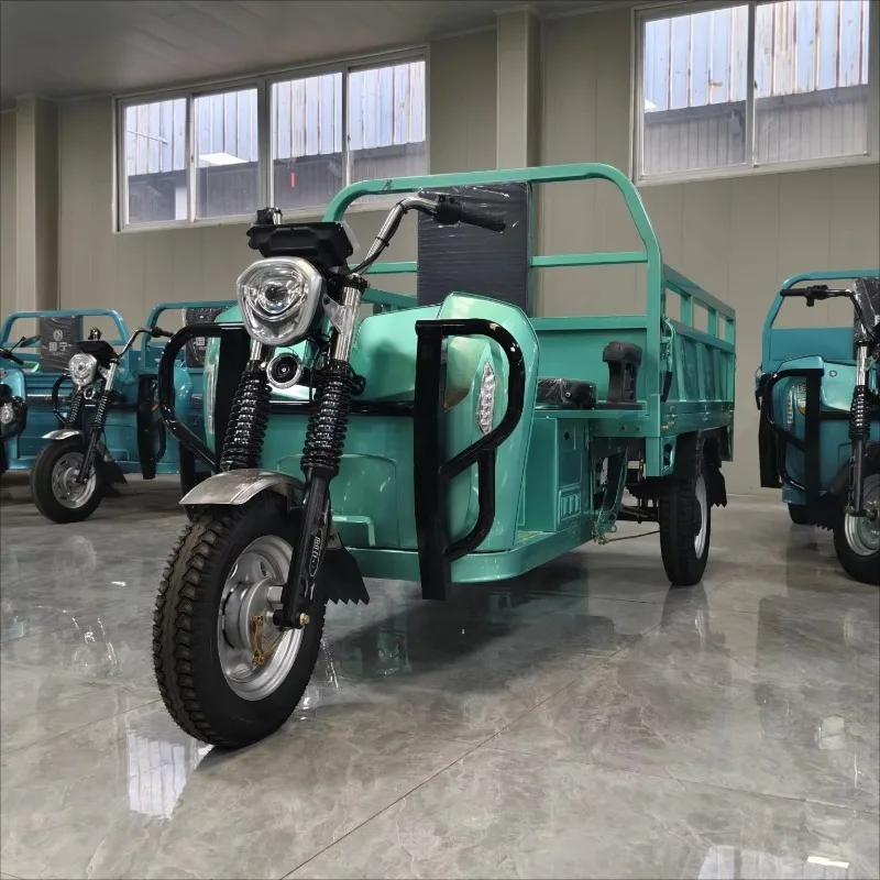 Electric Cargo Tricycle 1000W Agricultural Farm Vehicle Three Wheeler Cargo Box Steel Frame