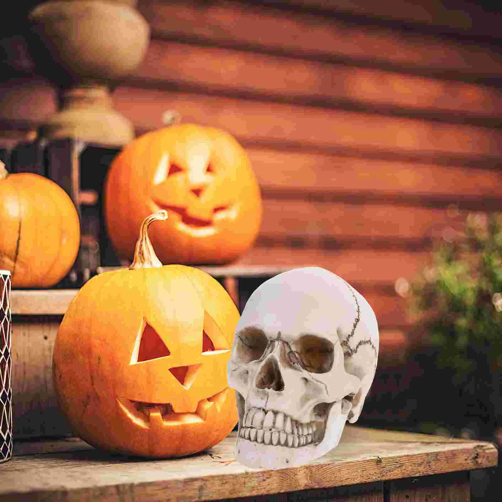 Halloween Pumpkin Decorations Human Skull Model for Medical Prom Resin White