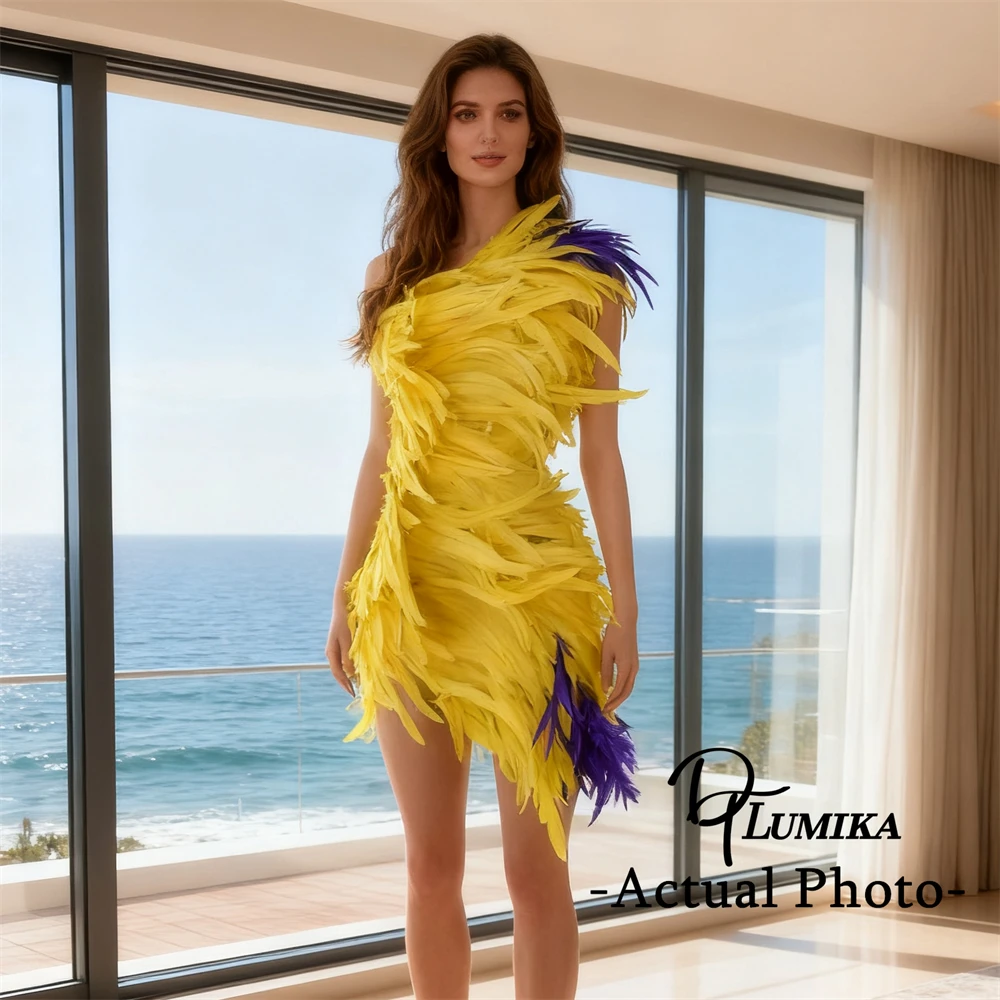 

DTLumika Feathers Mini Dress for Women, Sleeveless Party Prom Dresses, Stage Costume Dress Actual Photo Women's Gowns