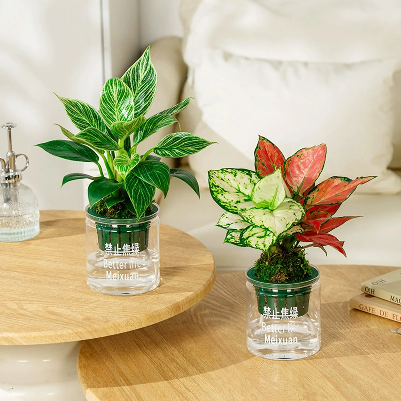 Plastic Tabletop Flower Pots Decor Self Watering Flower Pots Home Decoration Tabletop Vase Transparent Hydroponic Plants Pots