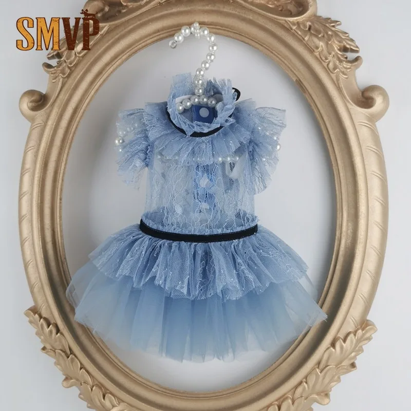 Vestido de Princesa para Mascotas con Encaje Azul Celeste, Vestido de Tul Multicapa, Transpirable y Ligero para Verano, para Mascotas Pequeñas