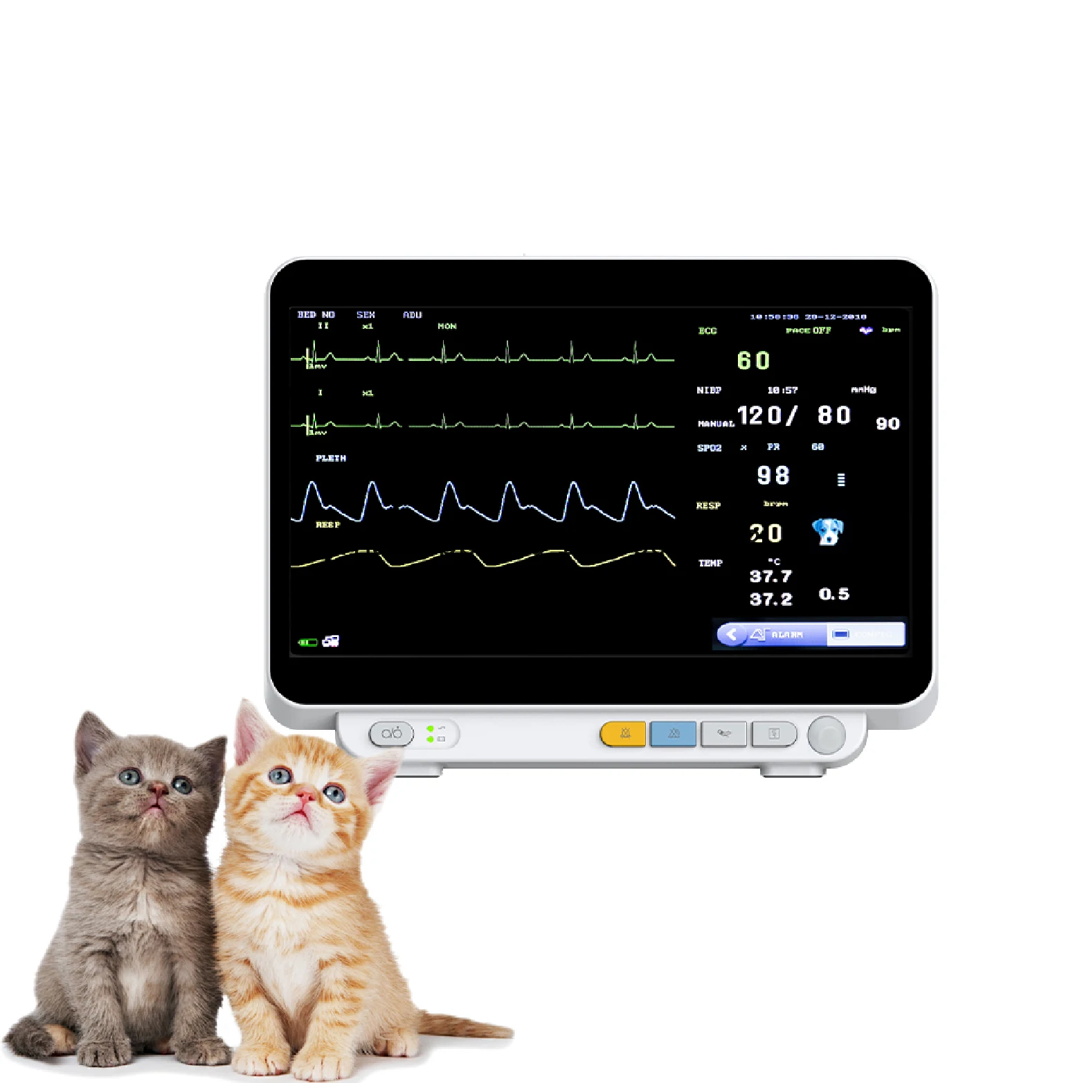 Vet Medical Monitor Multi Parameter Veterinary Hospital Clinic Vet Vital Signs Monitor