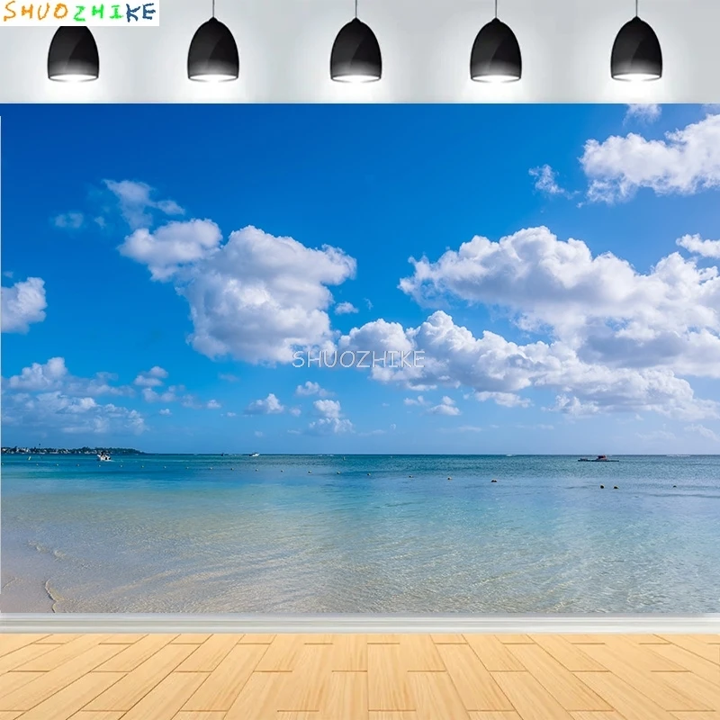 Красивый тропический пейзаж с песчаным пляжем фотографии фонов карибское море голубое небо облака фон для фотостудии SD-02