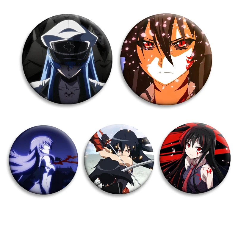Akame Ga Kill Badge Akame Esdeath Brooches Anime Action Collectible Pin on Backpack Clothing Decor Fans Cosplay Accessory Gifts