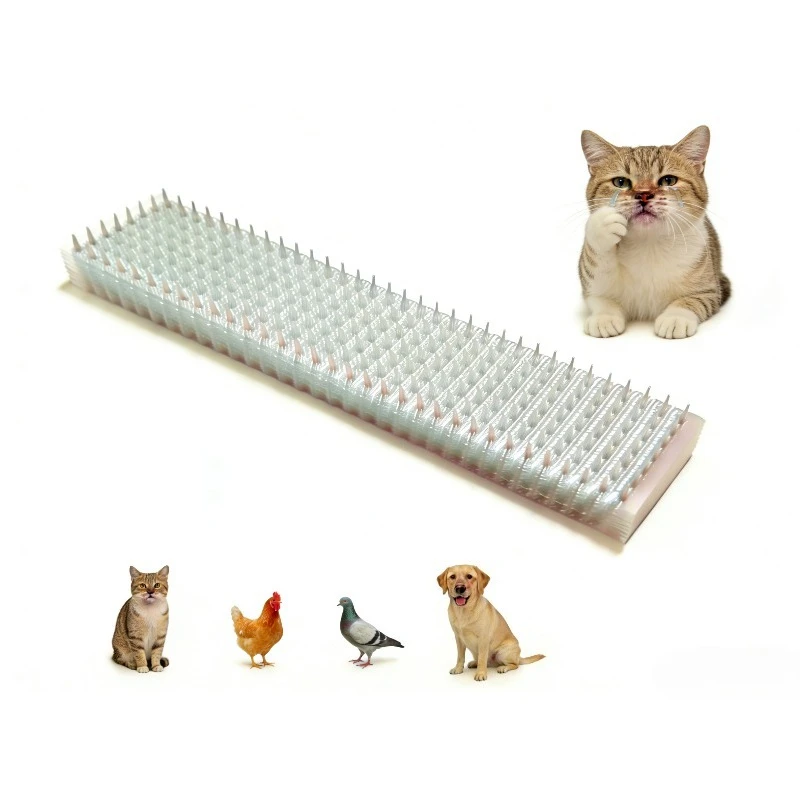 

10PCS Anti-Bird/Dog/Cat/Mouse Squirrel Garden Fences Plastic Spikes Repeller 10/12cm - Pigeon Control Cat Repellent