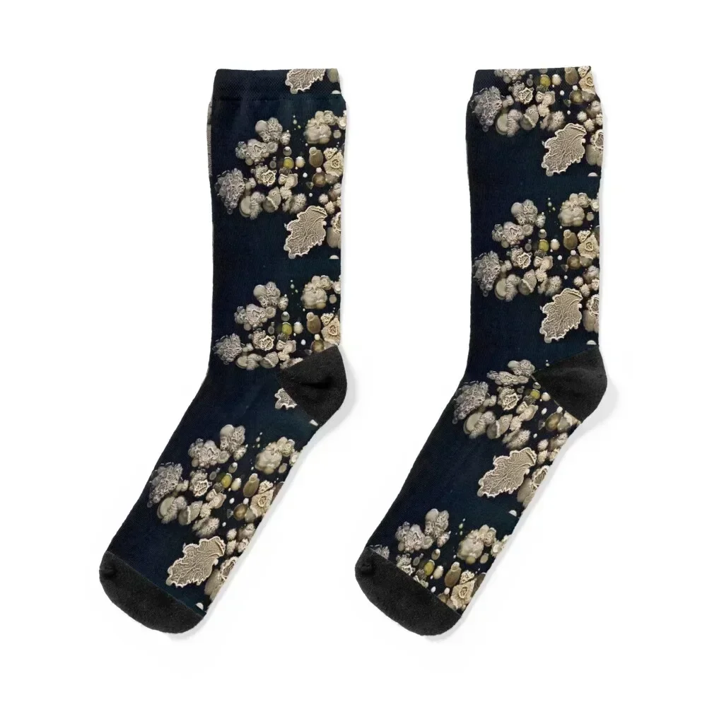 

Hidden world, from the bottom of a shoe Socks christmas gift anime winter gifts with print Socks For Women Men's