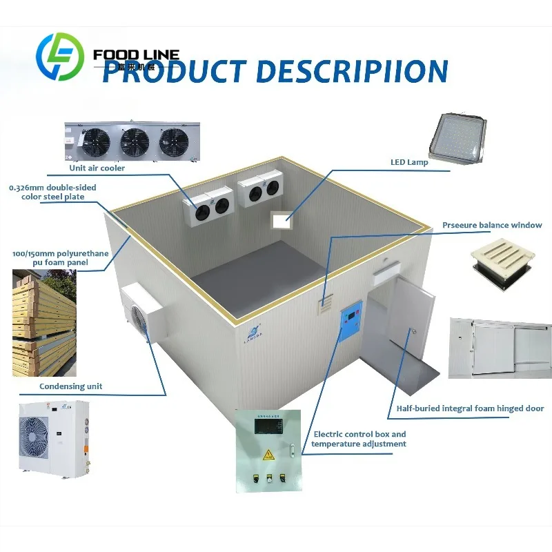 Mobile Cool Room Movable Portable Cold Room for Food and Mobile Cold Storage Customized