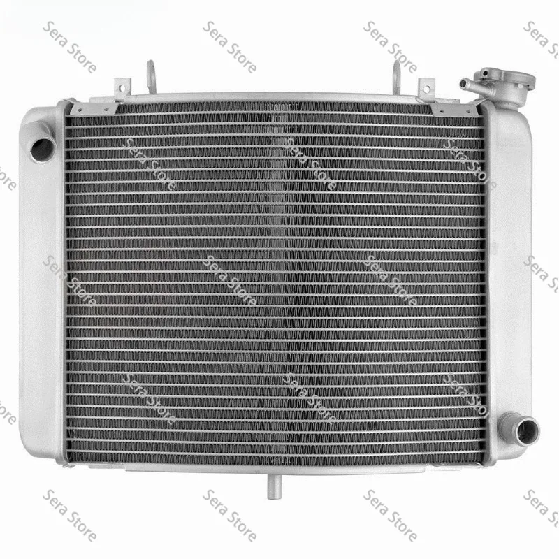 Complete Radiator Assembly for Honda NSR250 PGM-3 PGM-4 1991-1998 Motorcycle Cooling System