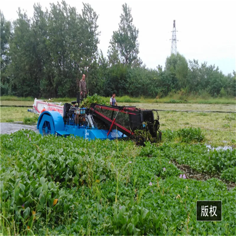 YG Keda Reed Harvester Water Grass Harvesting Machine Water Hyacinth Harvester