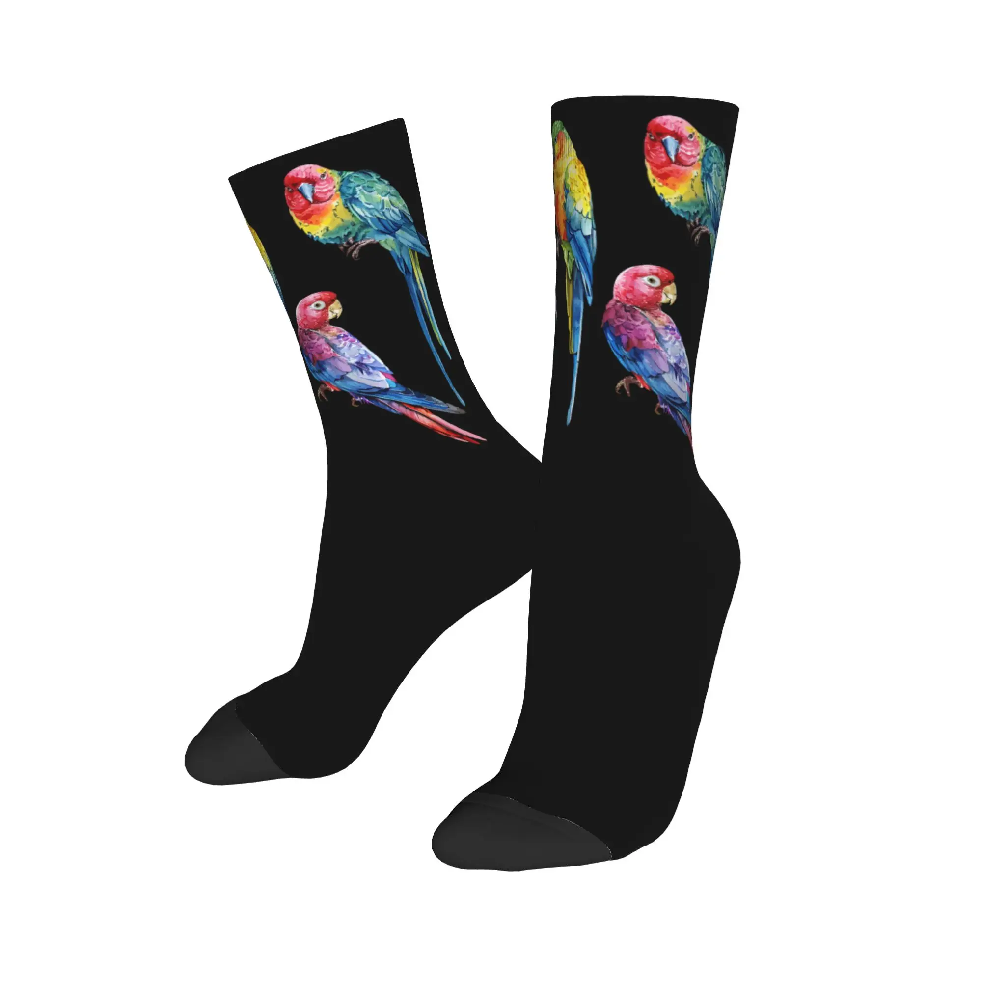Parrots Bird Guide Different Parrot Species of The World Pet Socks Men Women Polyester Funny Socks Harajuku Stockings Gifts