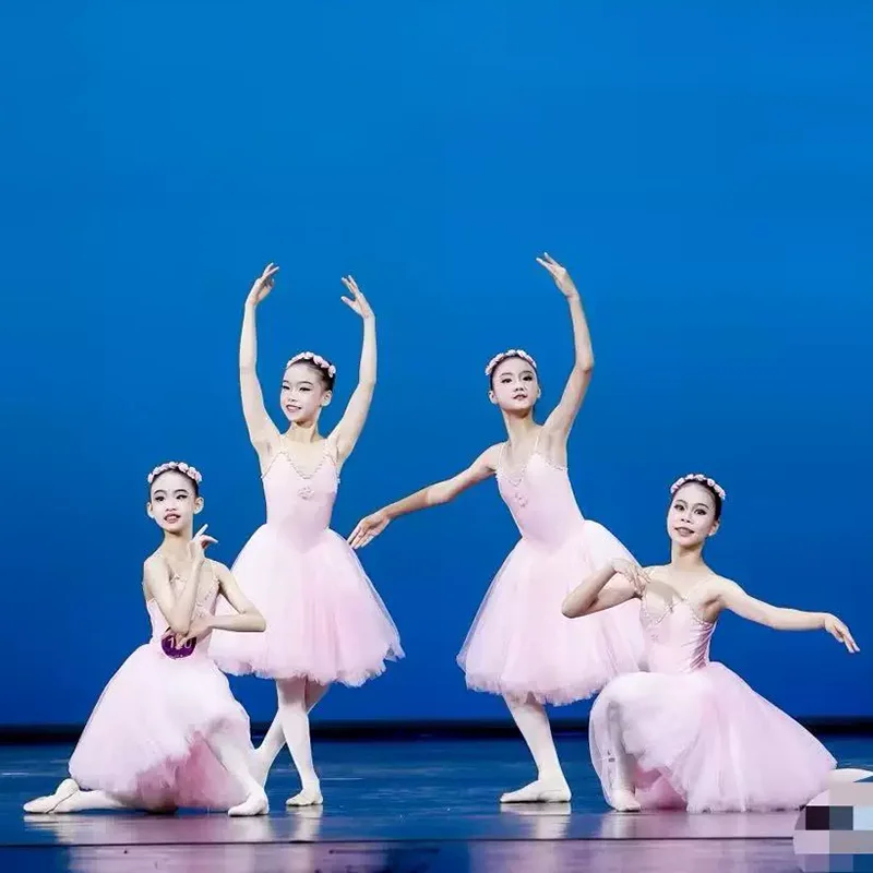 

Kids Romantic Long Ballet Dress Girls Sequins Tassel Modern Dance Tutu Stage Wear Princess Costume for Children