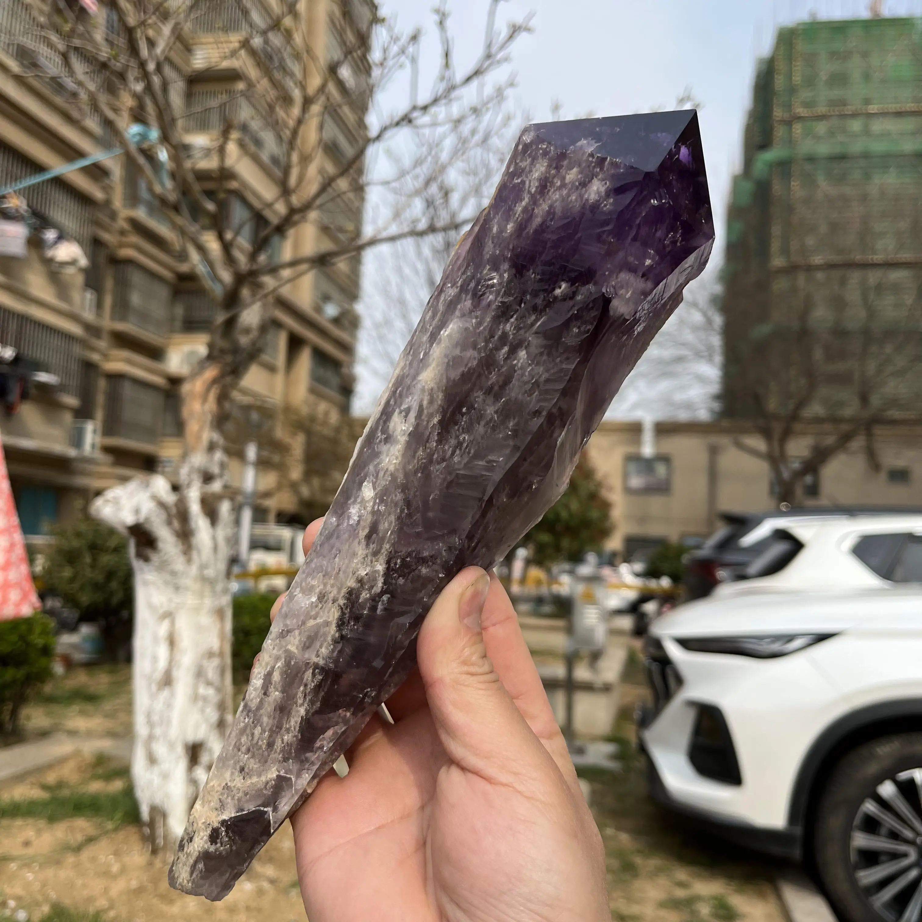 27cm Natural Amethyst Scepter Cluster Crystal Backbone Stone Quartz Reiki Healing Home Decor Mineral Specimen 02