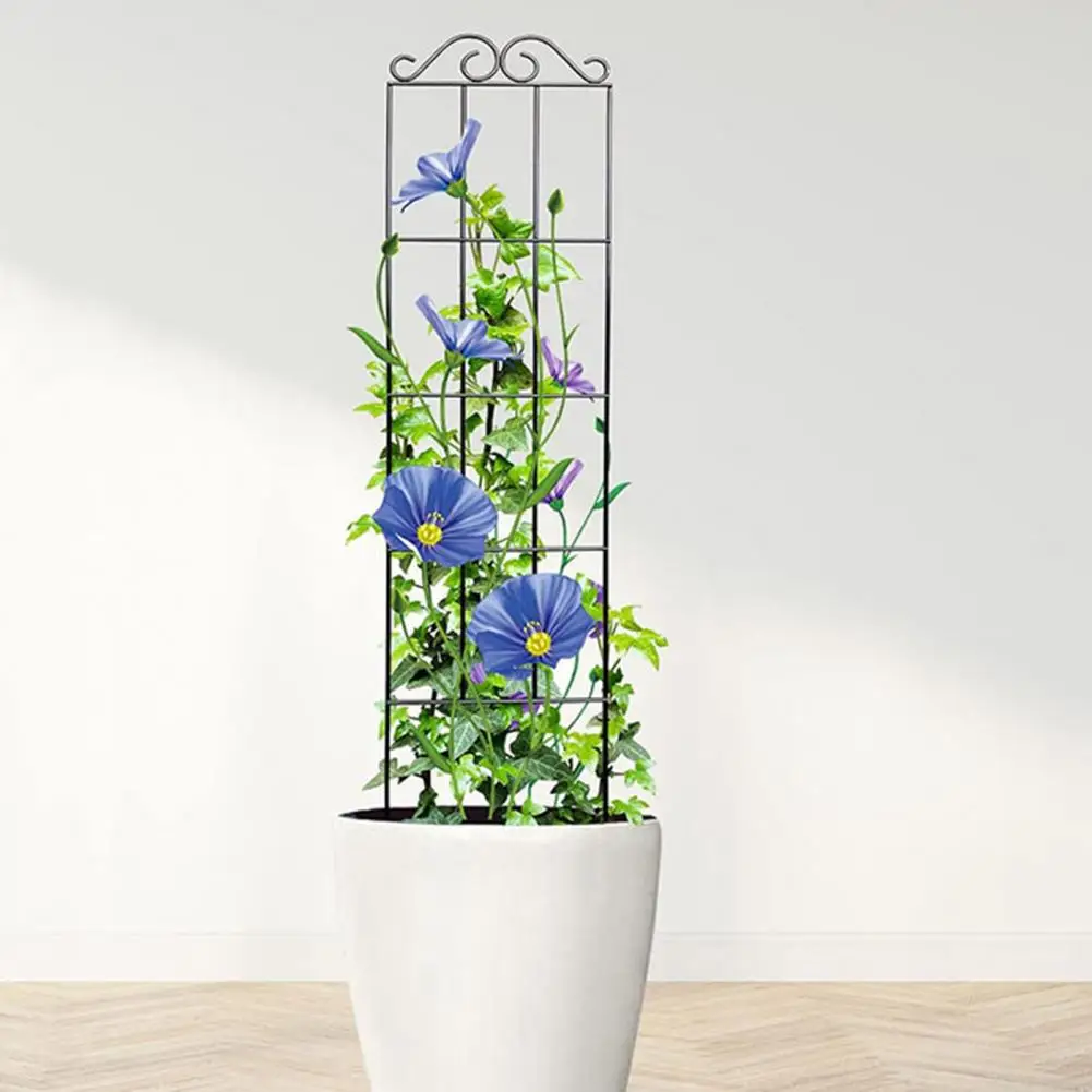 

Plant Climbing Stand Metal Garden Trellis for Climbing Plants Easy Install Reusable Plant Support Stand for Home Outdoor Potted