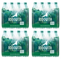 RODOWITA mineral water with carbonated mite 48x0.6 L