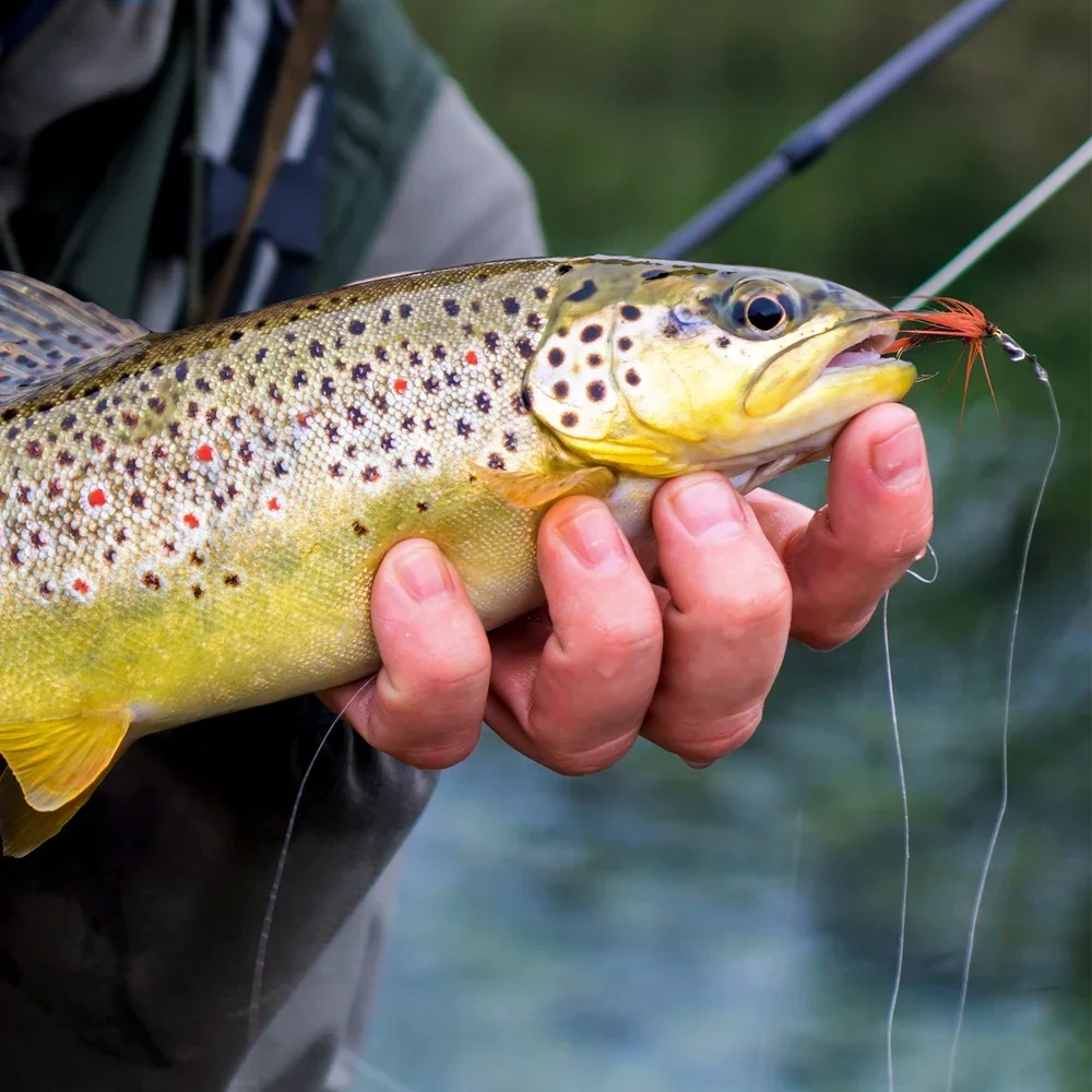 Set de moscas artificiales Goture – Streamers y ninfas para pesca con mosca - imagen 2