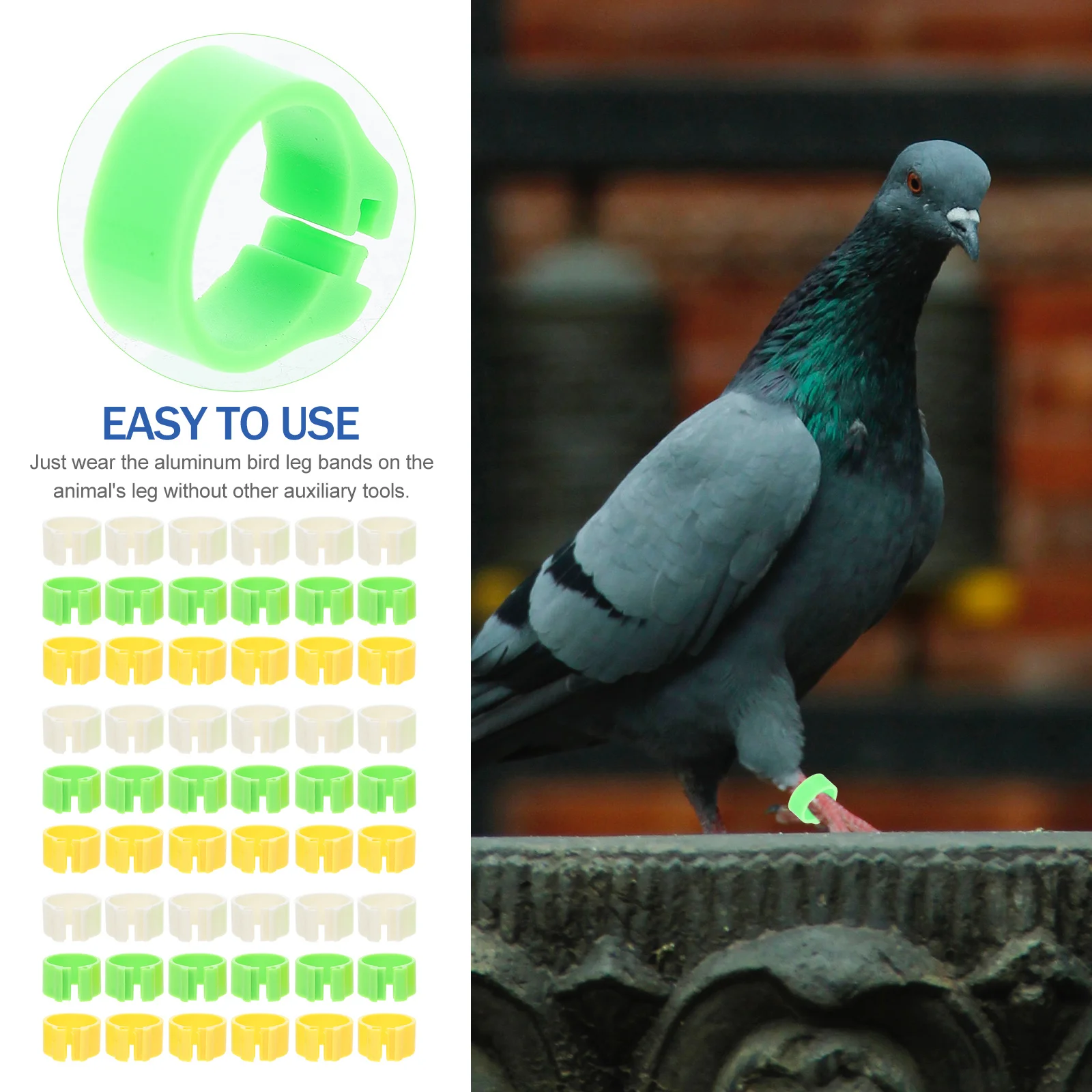 

300Pcs Pigeon Supplies Plastic Leg Bands for Birds Chickens Parrots Pigeon Classification Rings Bright Colors for Hatch Tracking