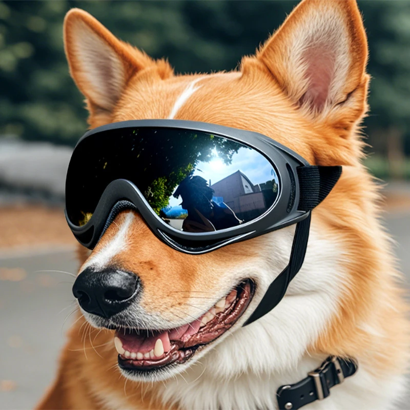 Dog UV Sunglasses 3